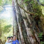 屋久島との出会い《第一回 屋久島Life＆People》