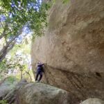 森林セラピー参加者の声（2022年1月26日）