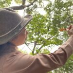 森林セラピー参加者の声（2022年3月4日）