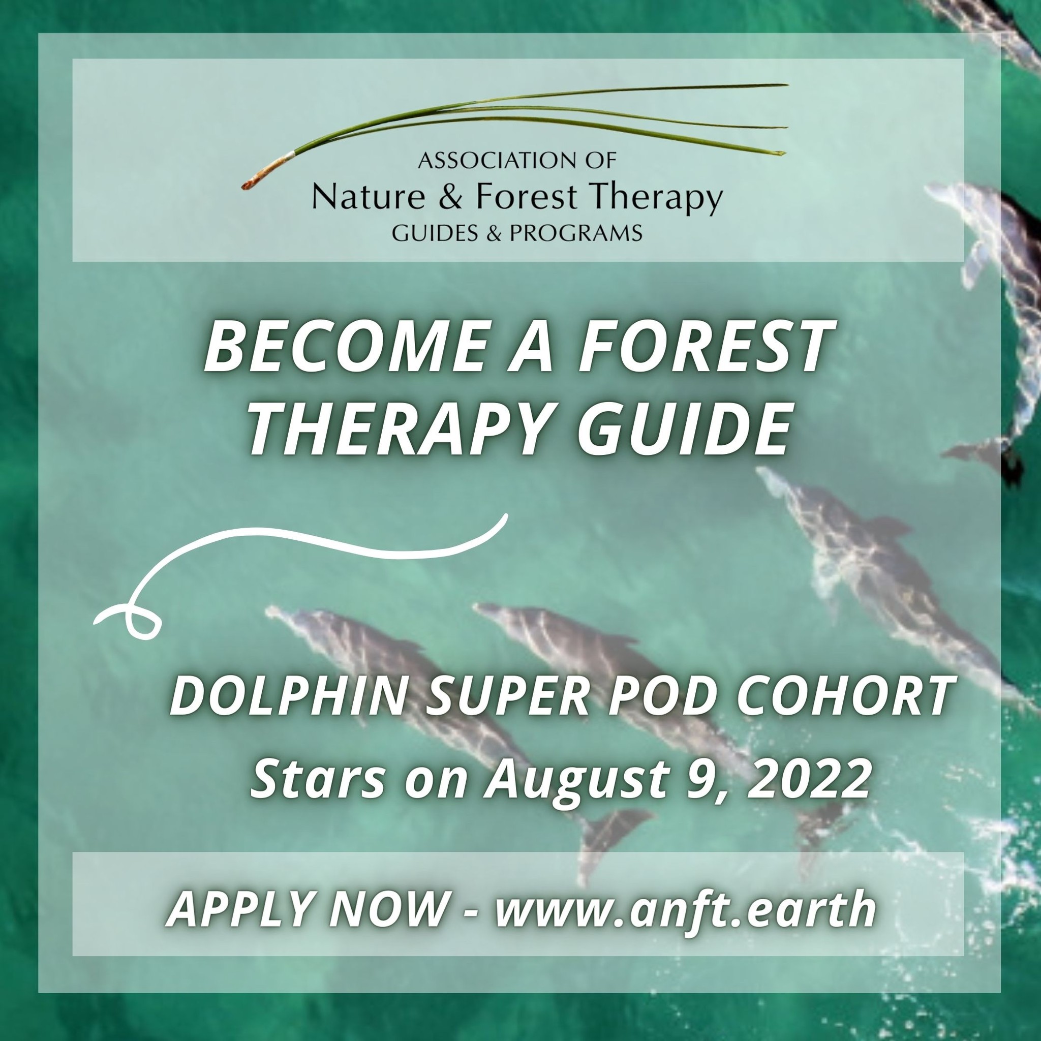 deep森林浴（2022.7.29）