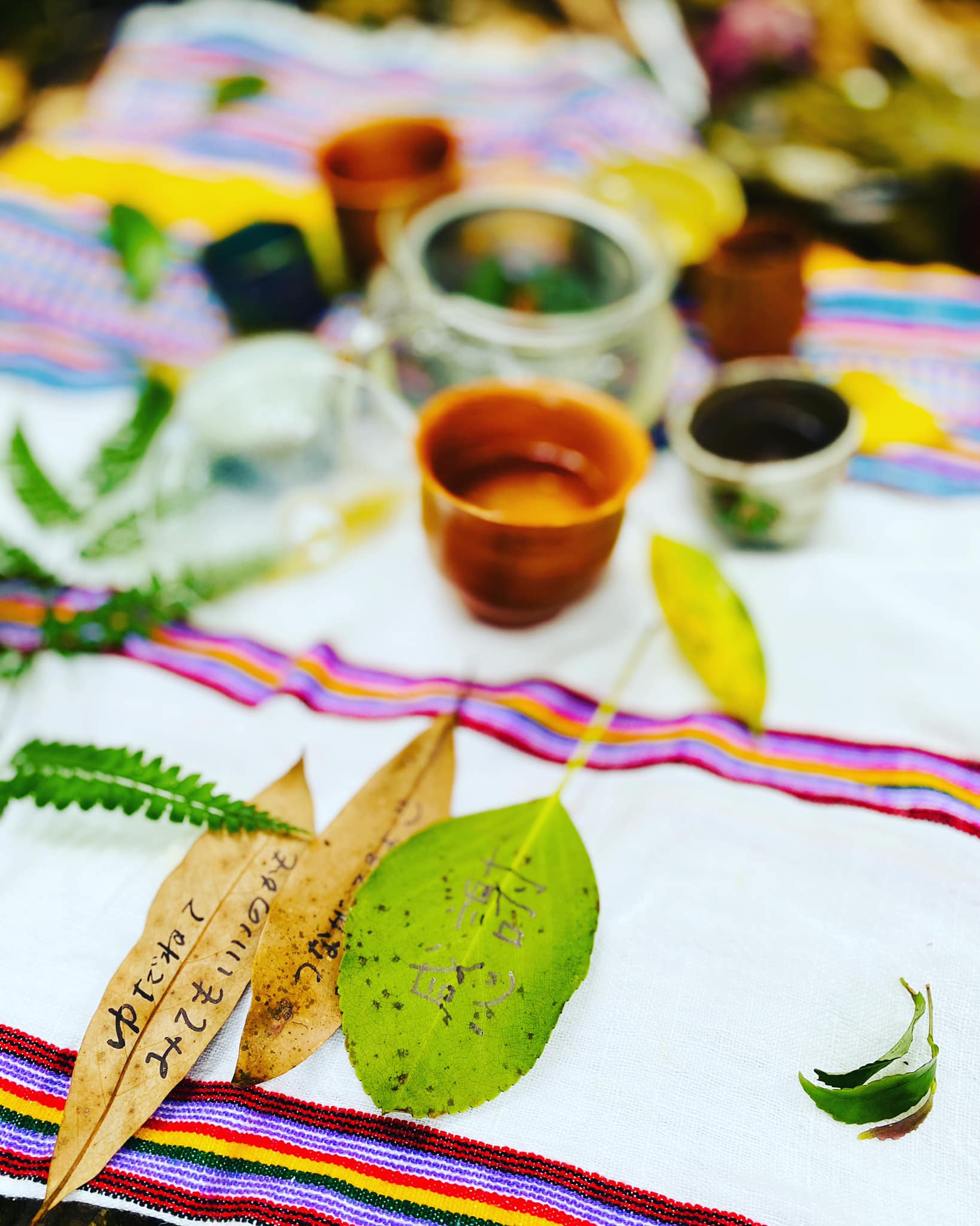 deep森林浴（2022.7.27）