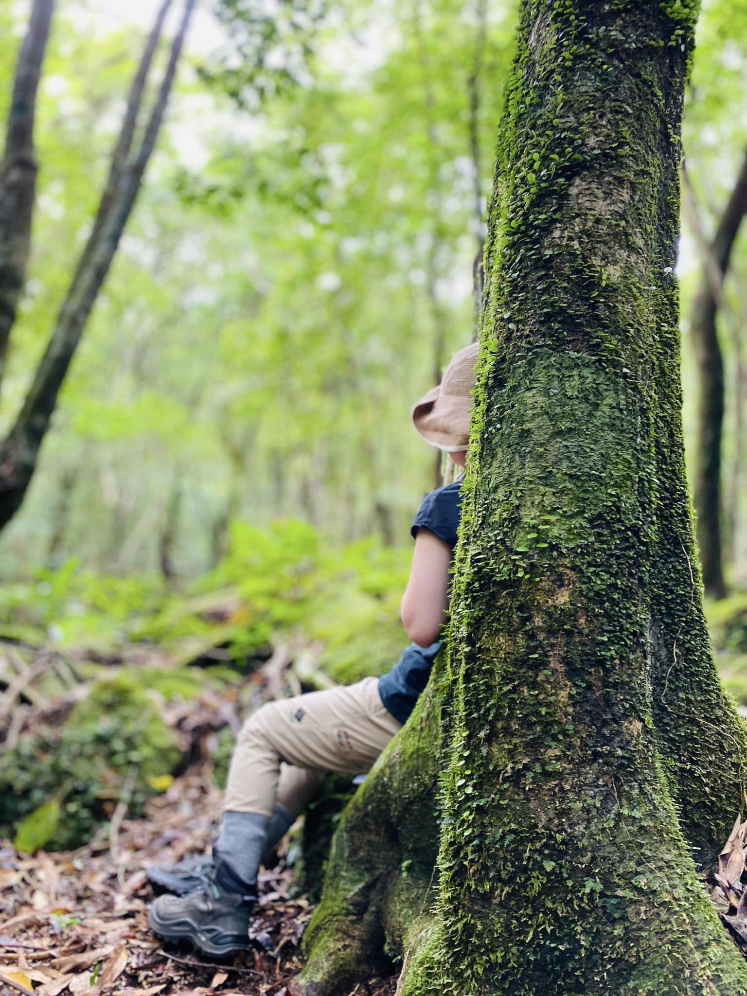 deep森林浴（2022.7.29）