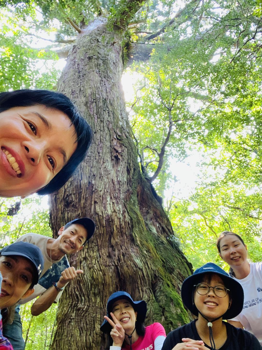 deep森林浴（2022.7.27）