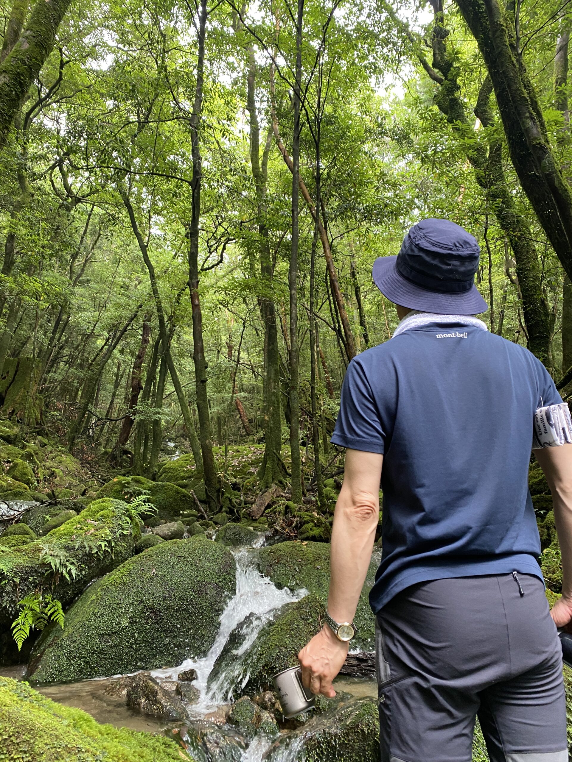 deep森林浴（2022.7.9）