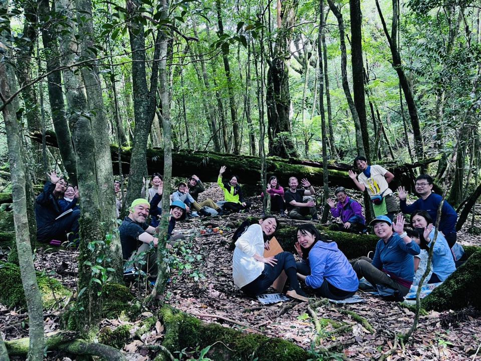 deep森林浴（2022.8.27）