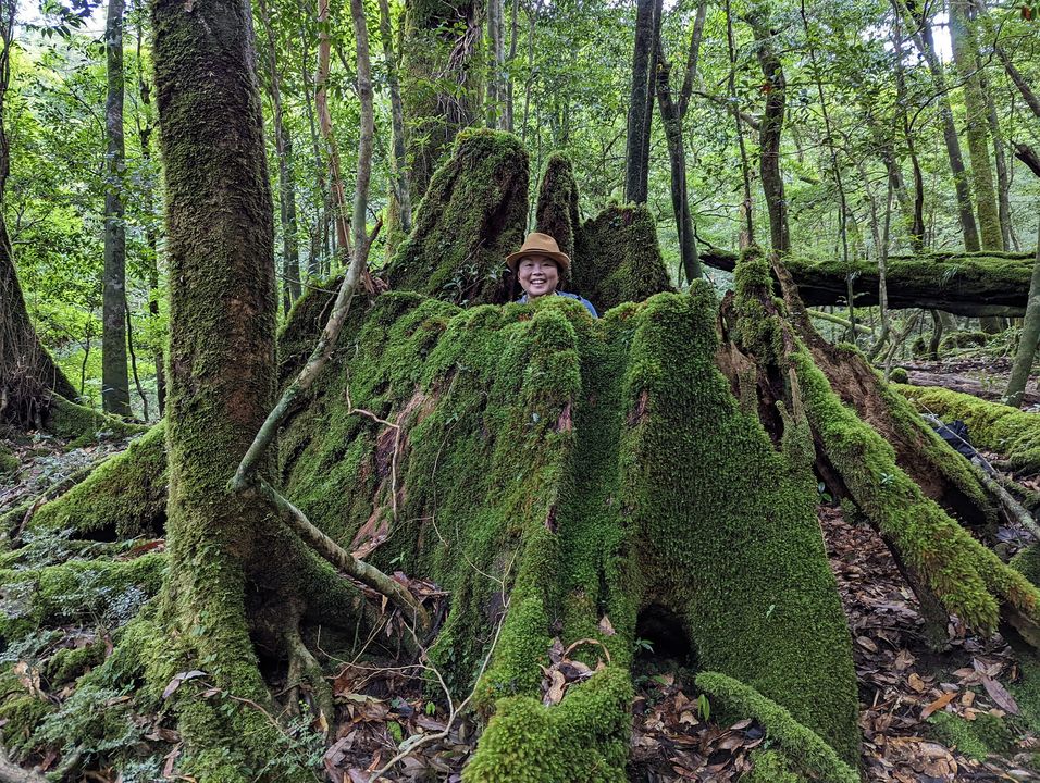 deep森林浴（2022.8.29）