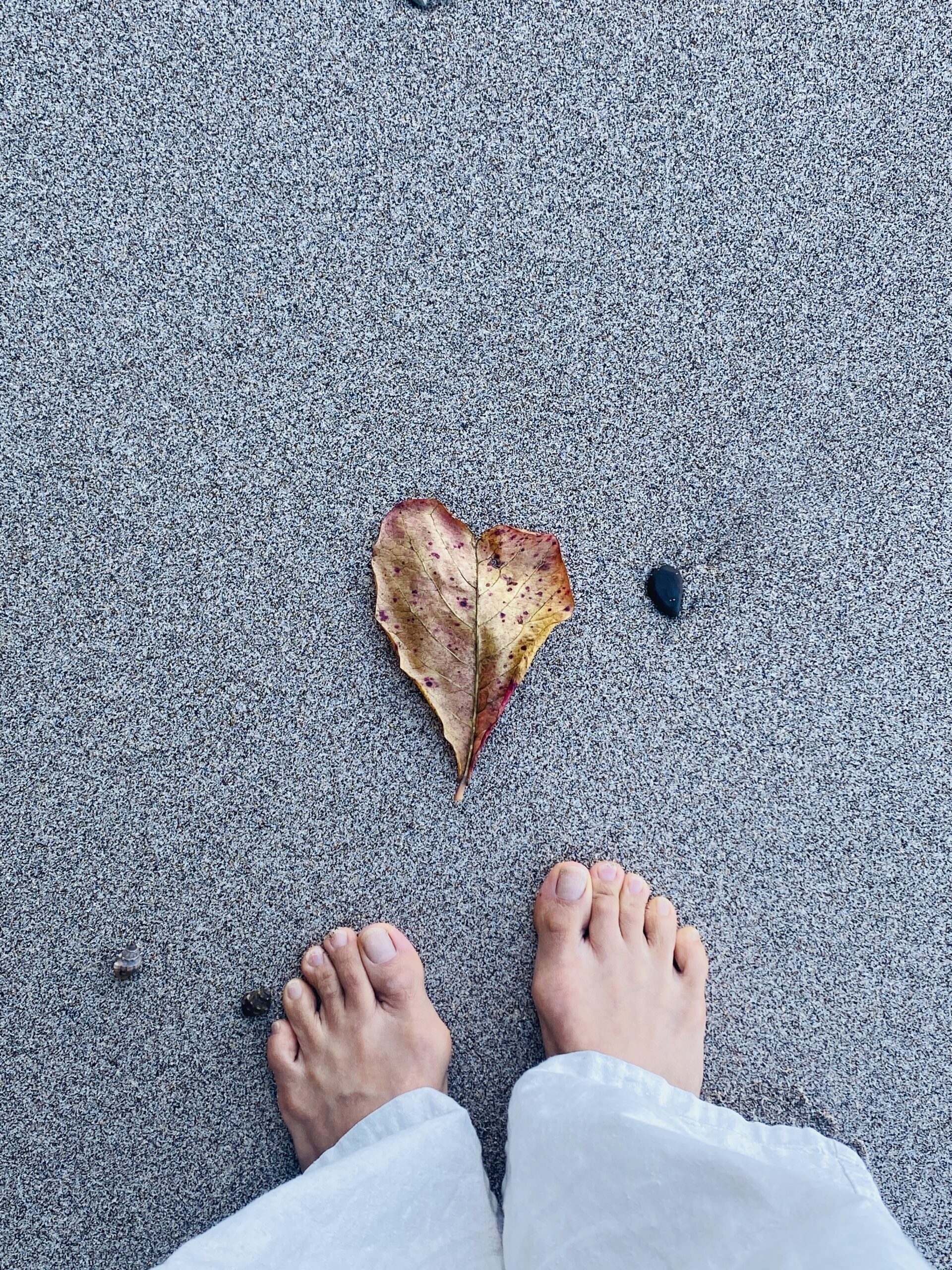 4年半ぶりに日本を離れてみて