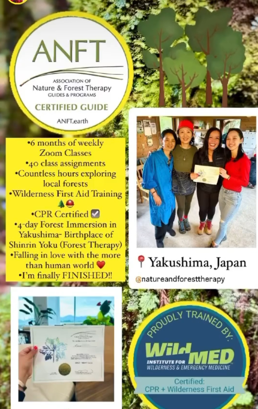 【ANFT森林セラピーガイド認定式in屋久島】