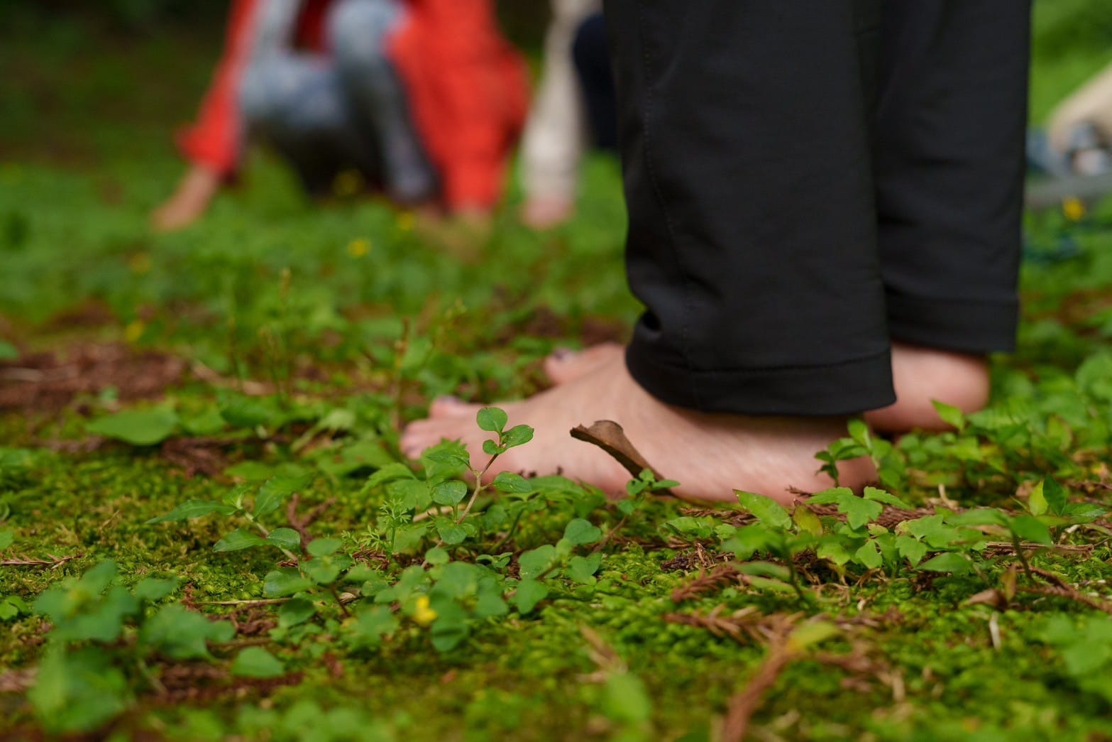 ＜wholenessリトリート参加者のコメント③＞(April 26-28)