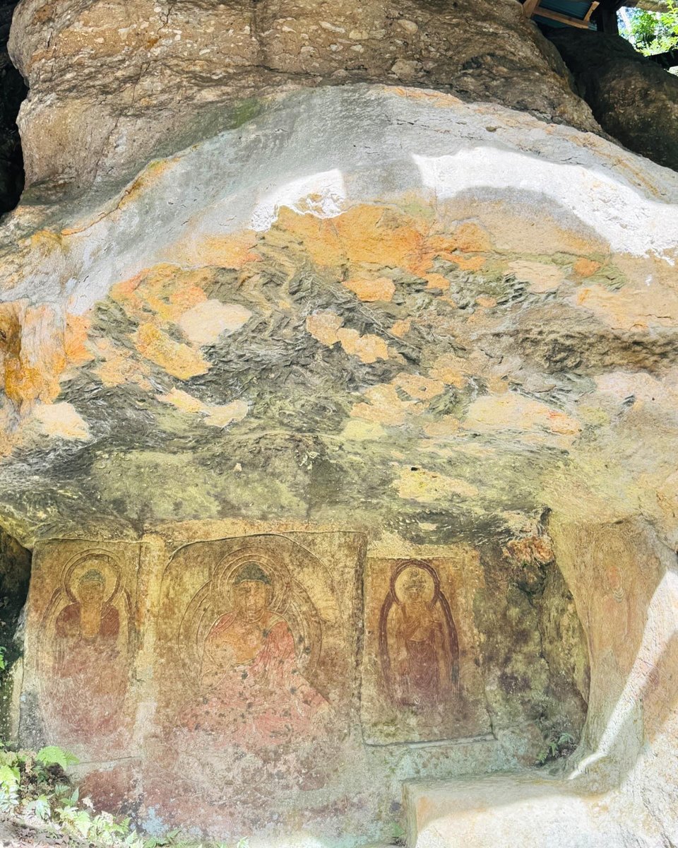 【奈良春日山原始林と人のつながり】