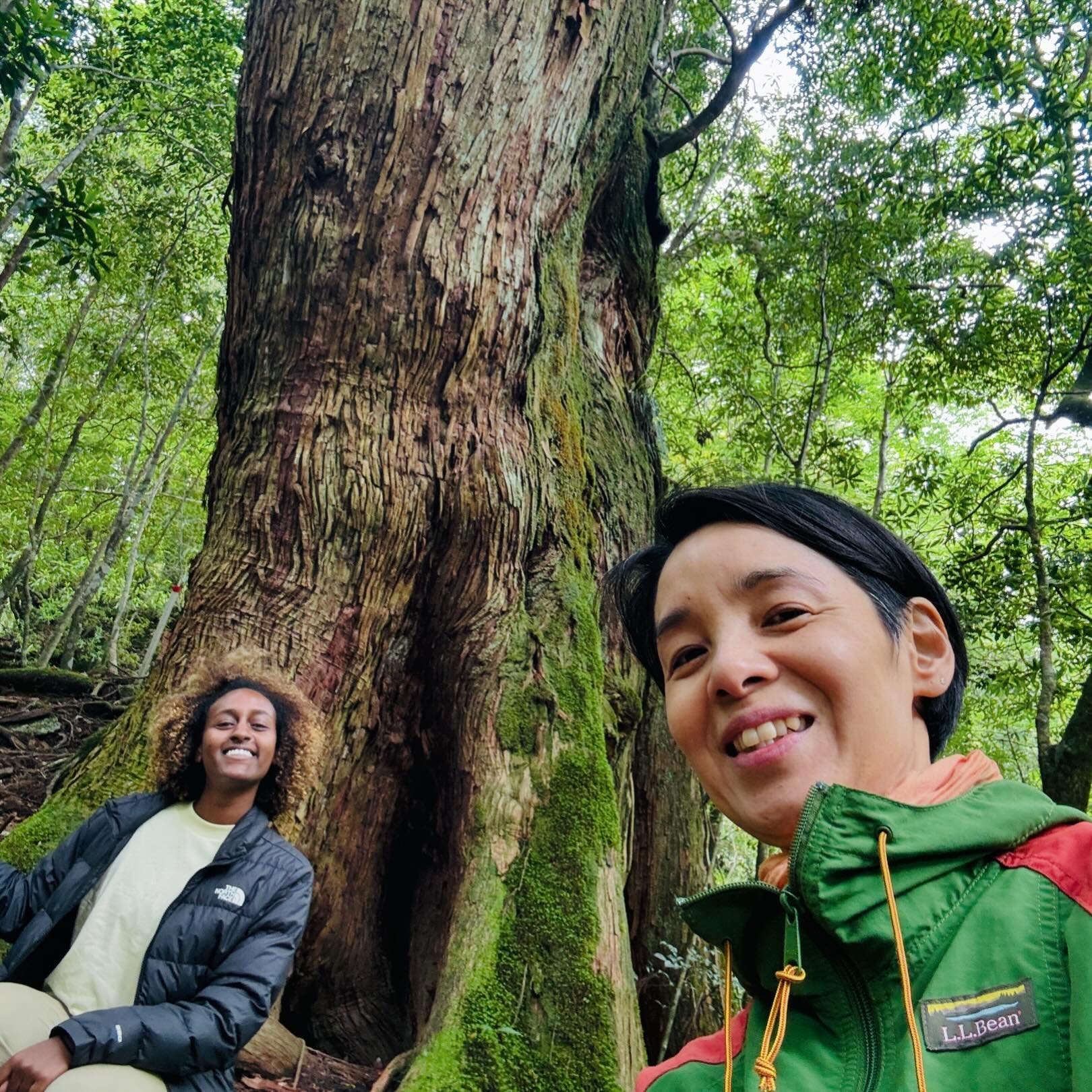 ケニアの懐かしさが蘇るdeep森林浴