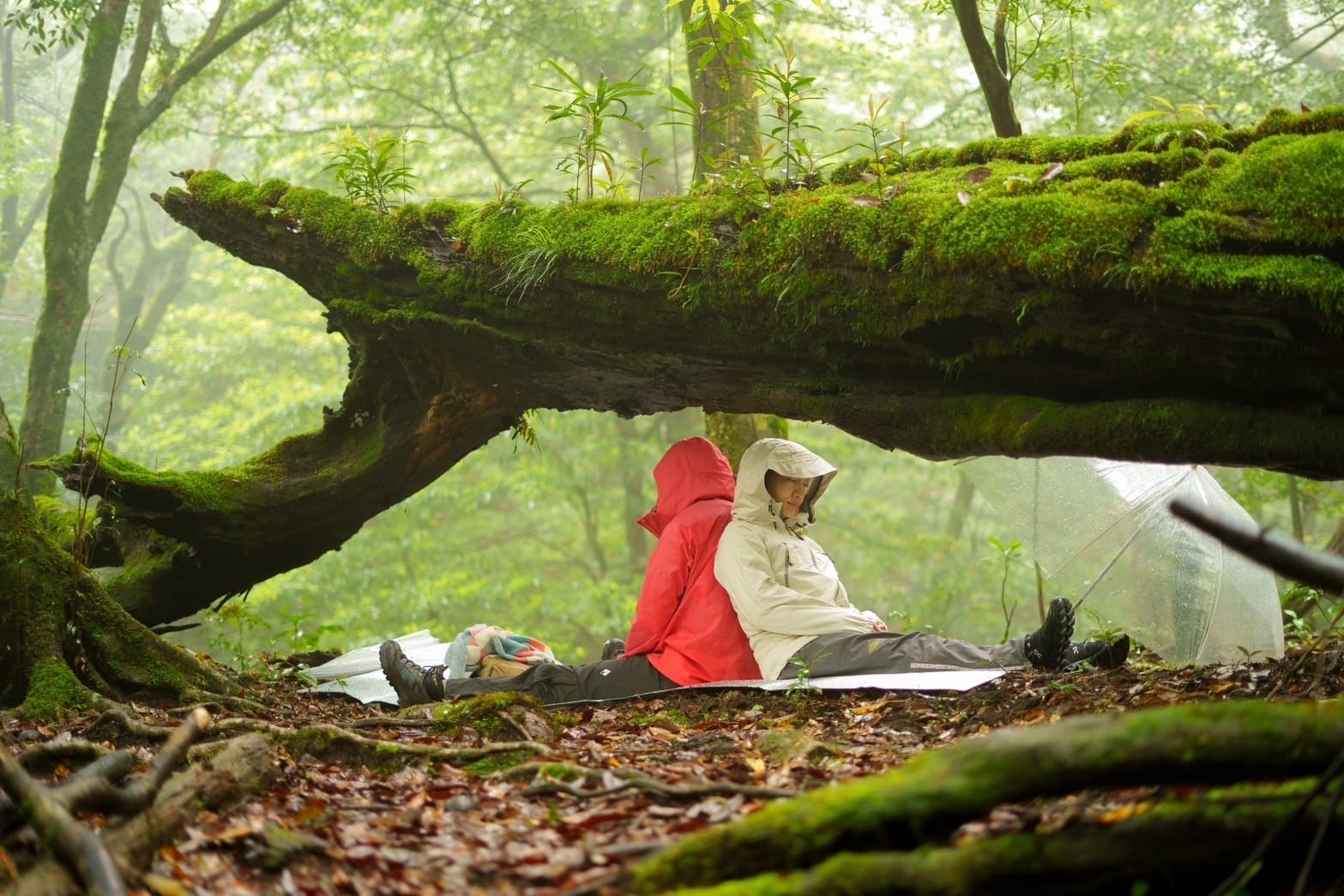 ＜wholenessリトリート参加者のコメント①＞(April 26-28)