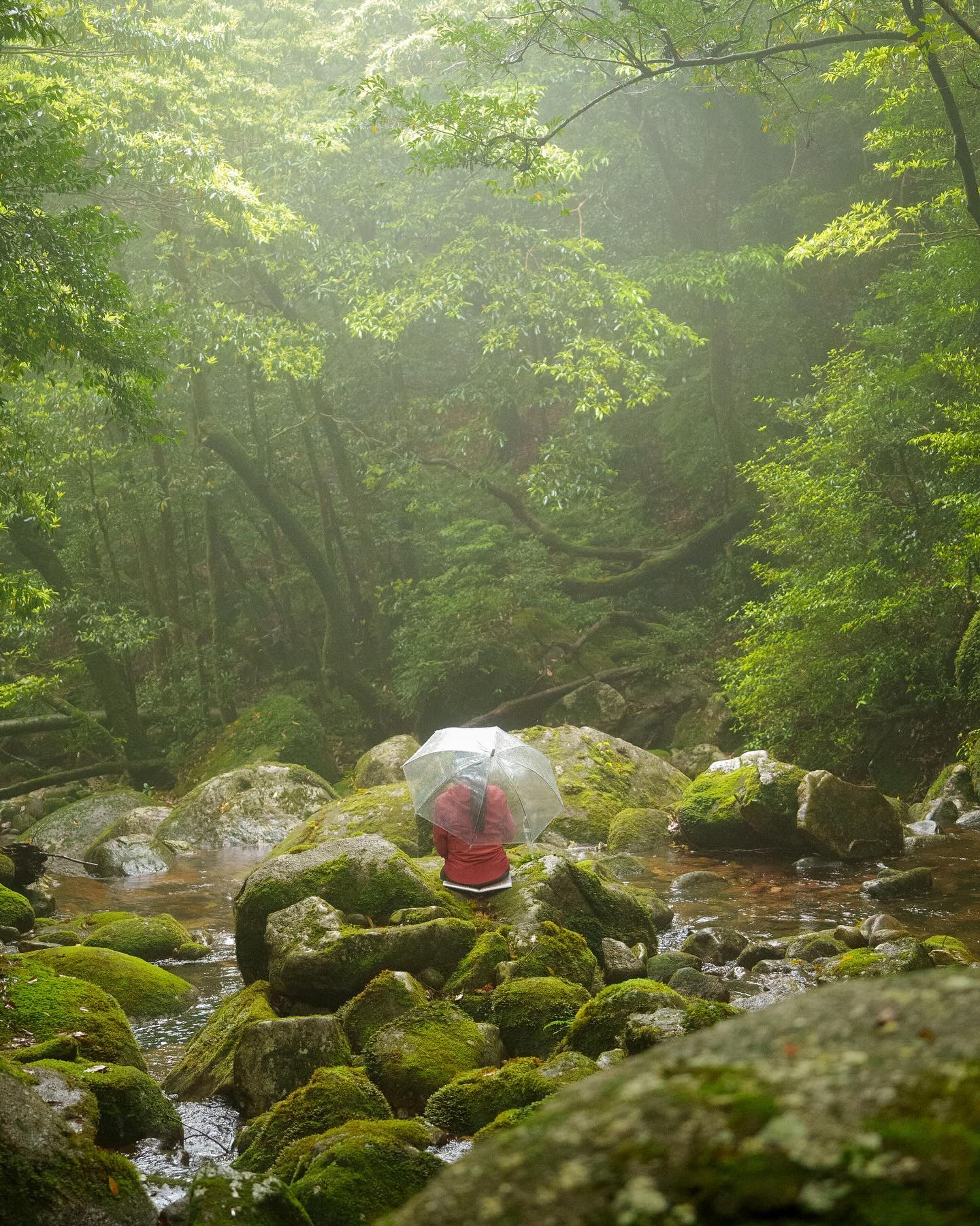 <wholenessリトリート参加者のコメント⑤＞(April 26-28)