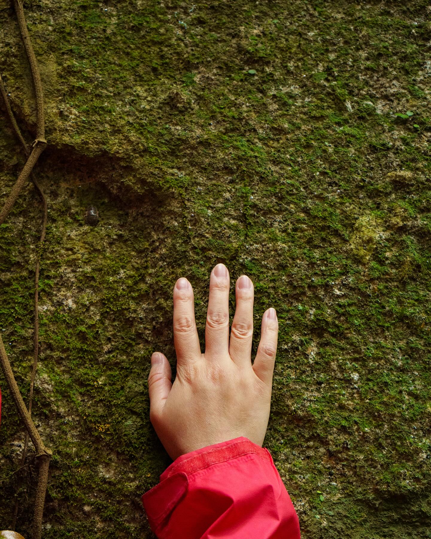 <wholenessリトリート参加者のコメント④＞(April 26-28)