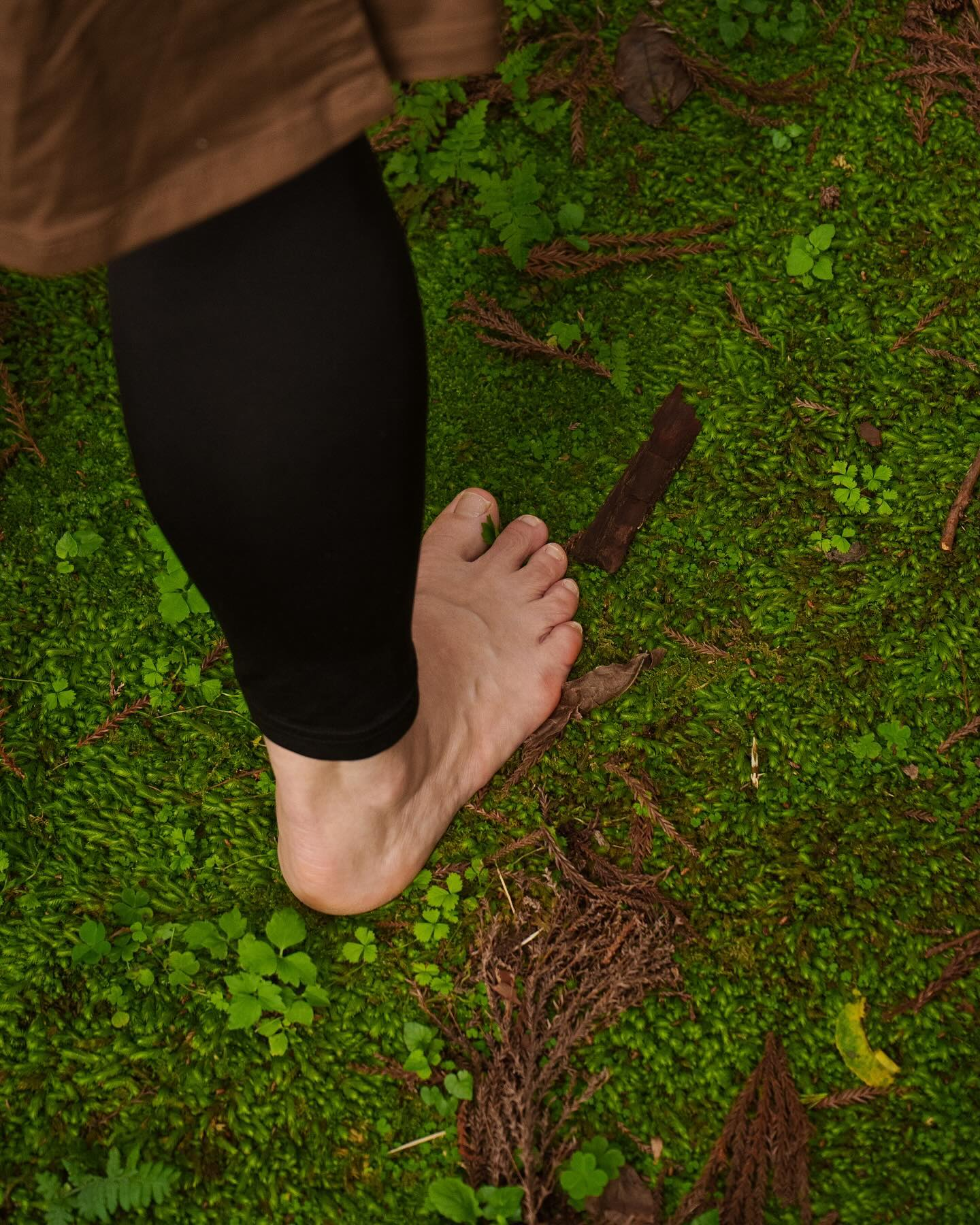 「根っこと繋がる感覚」