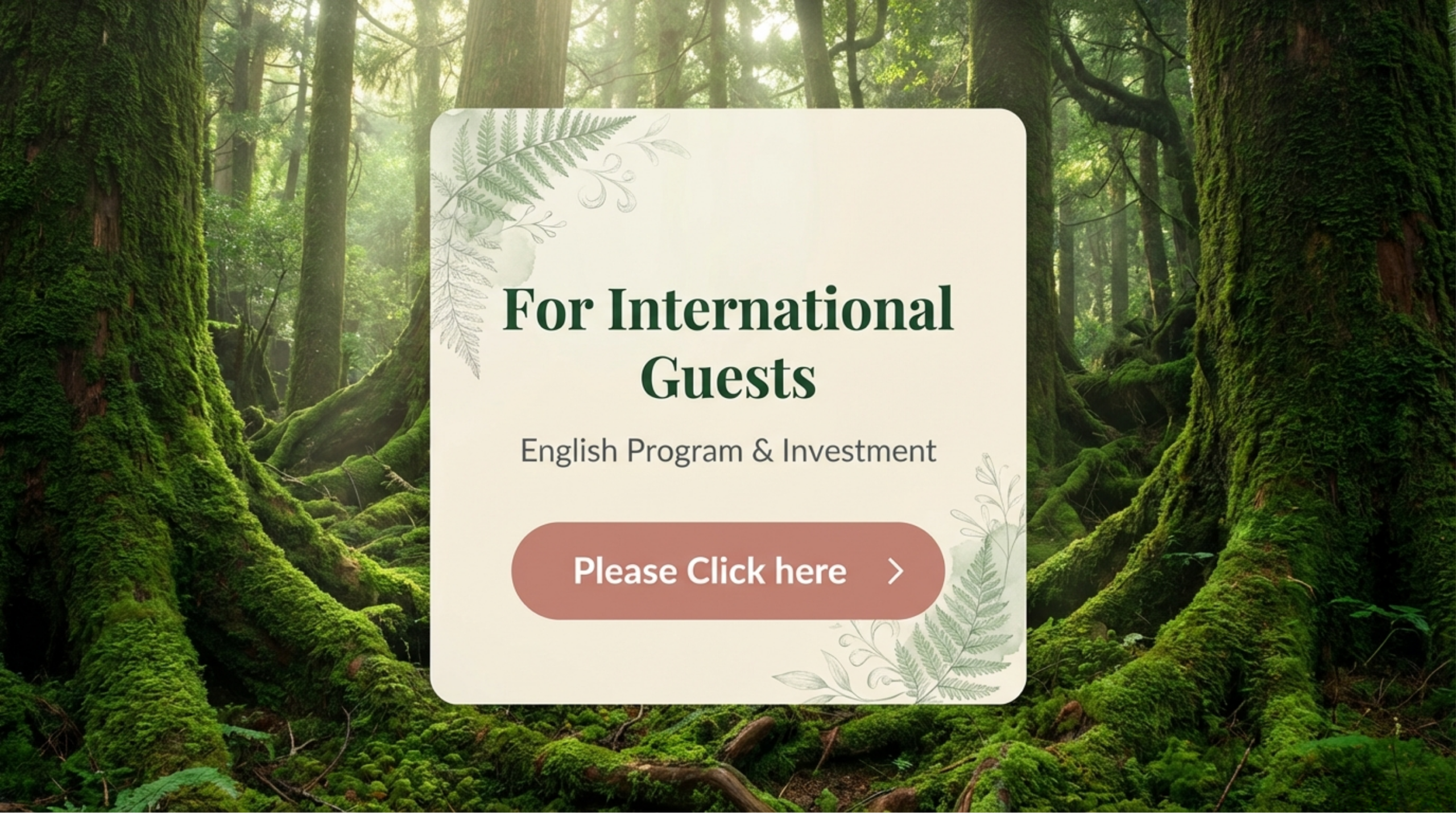 View English Program & Investment for International Guests