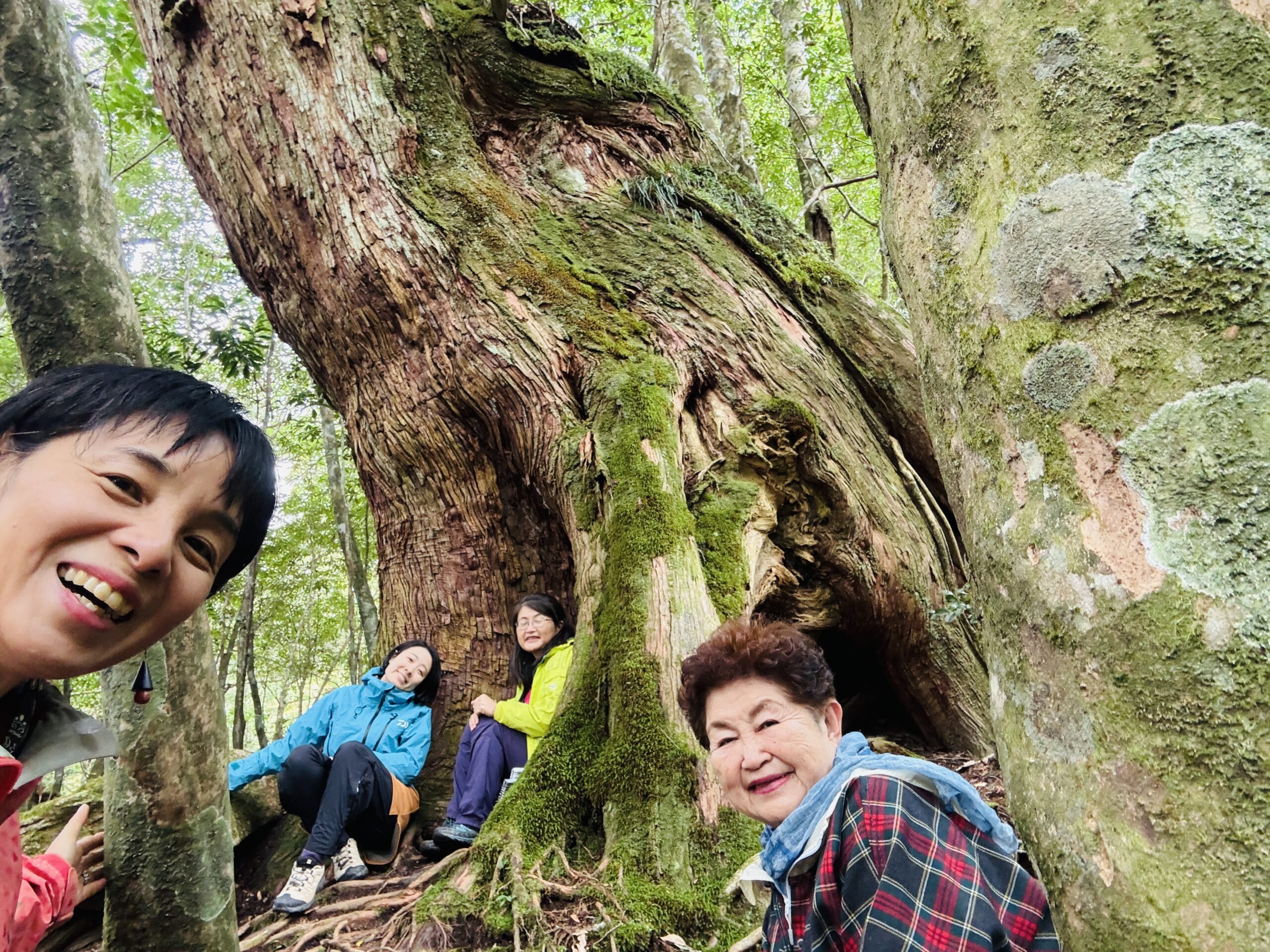 2025.10　deep森林浴　感想