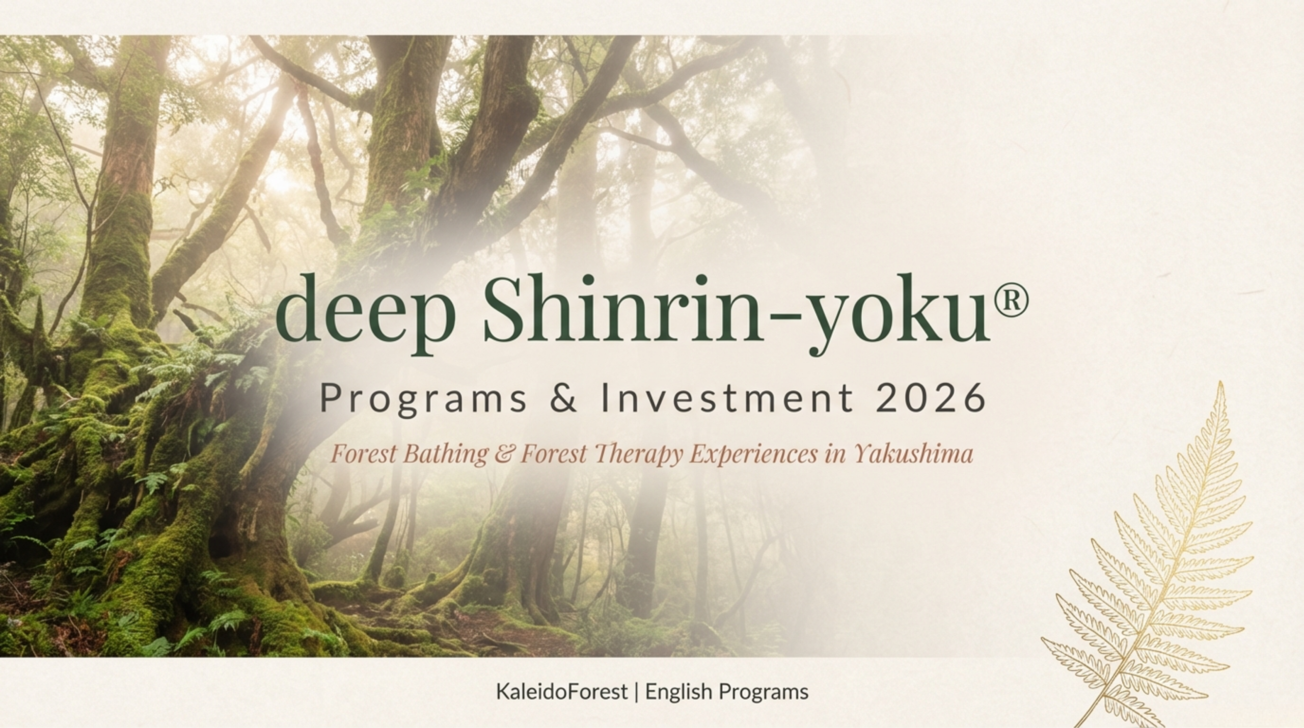 deep Forest Bathing Programs & Investment 2026 - Forest bathing experience in Yakushima