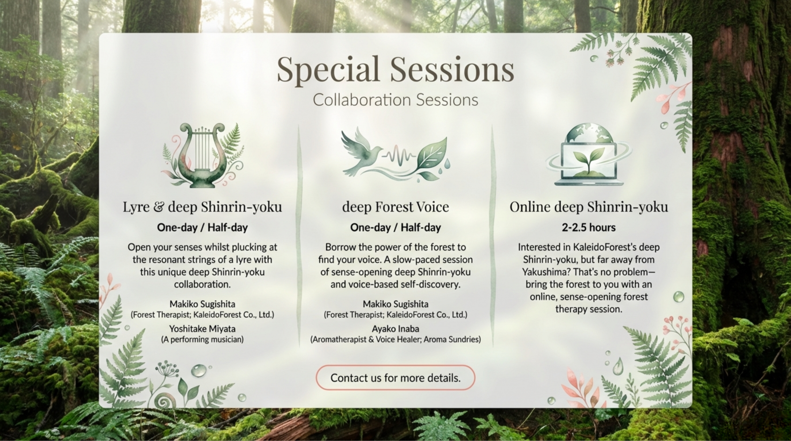 Special Collaboration Sessions: Lyre & deep Shinrin-yoku, deep Forest Voice, and Online forest therapy sessions with specialist facilitators.