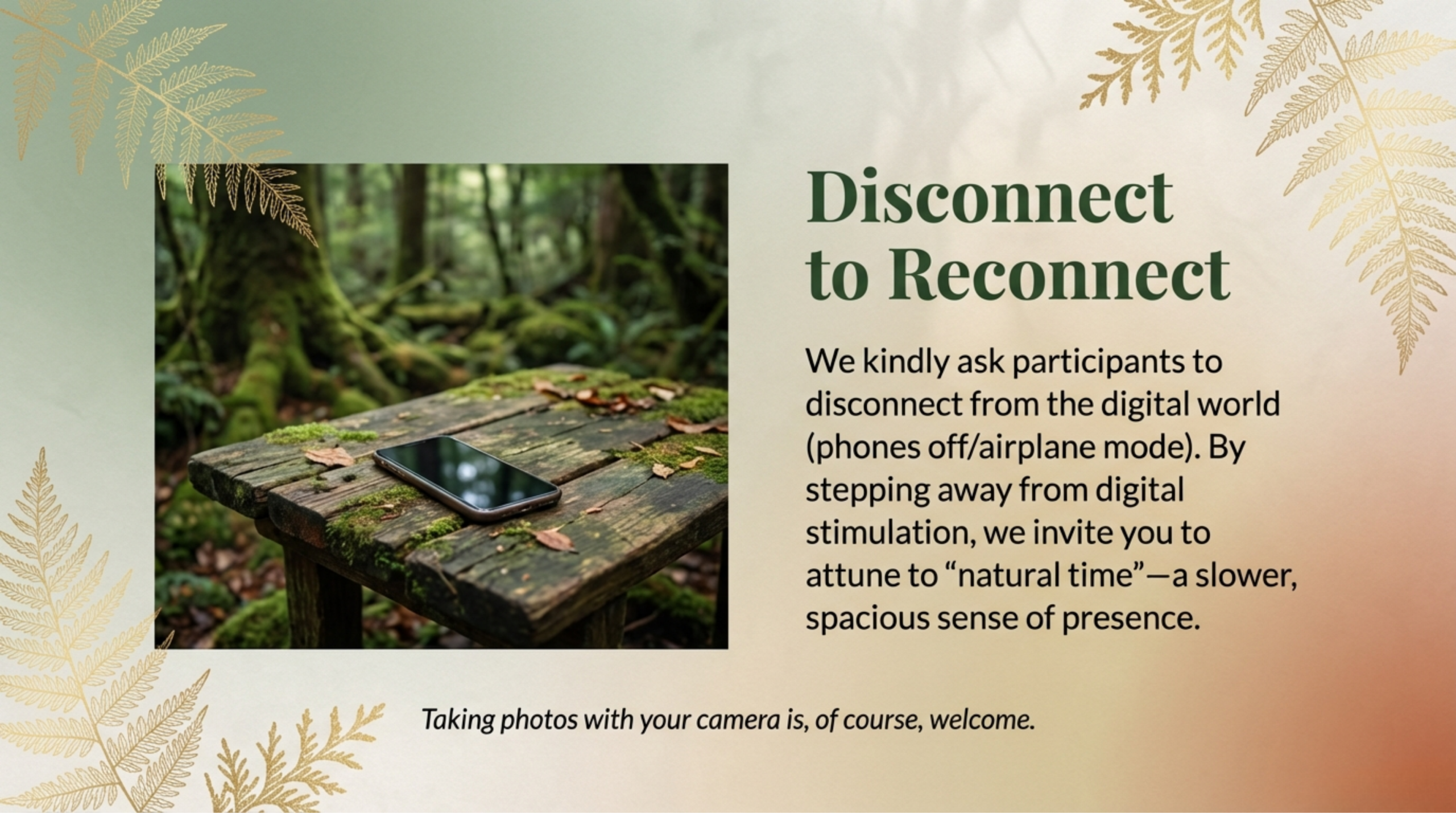 Mindful digital policy: "Disconnect to Reconnect" invitation asking participants to turn off phones to attune to natural time and spacious presence.