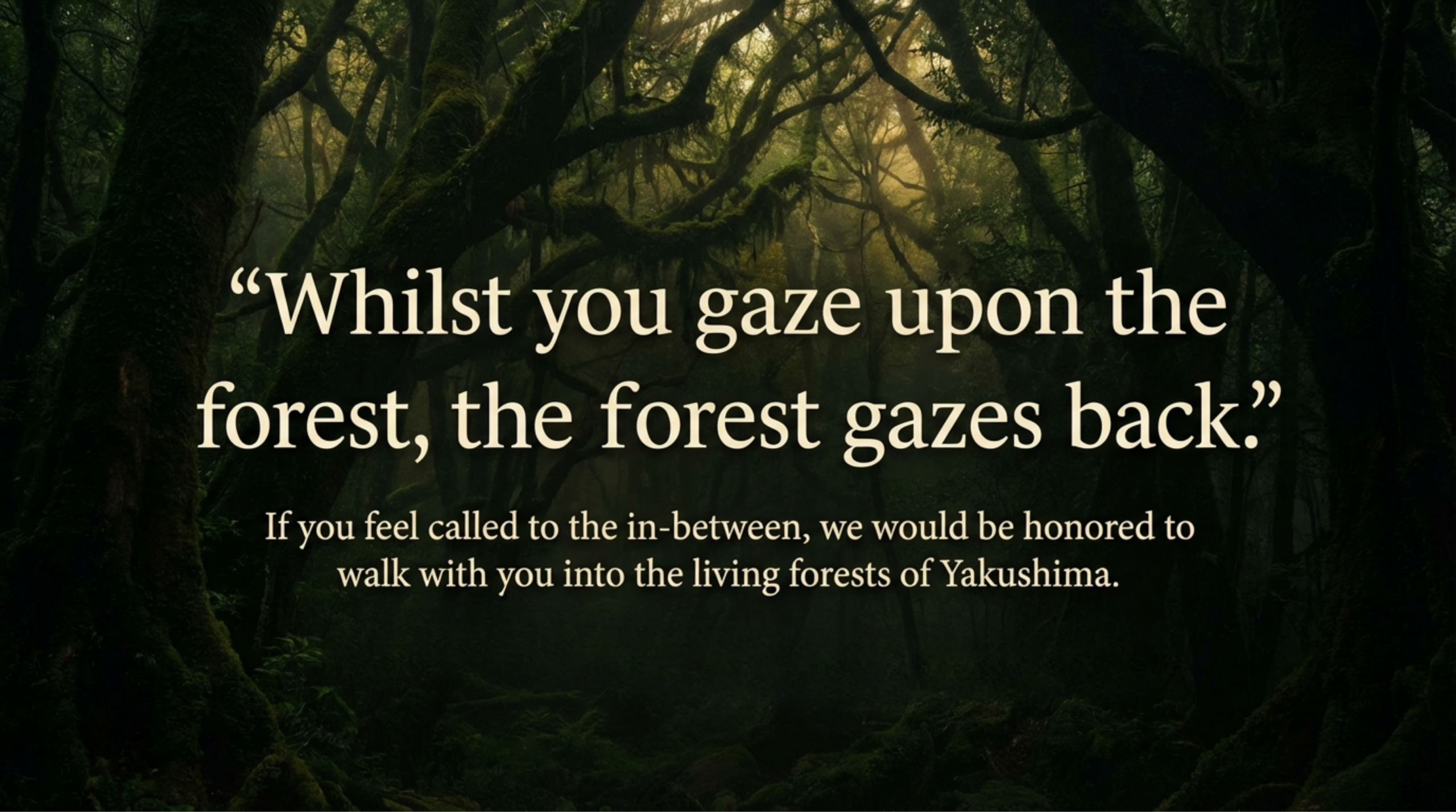 Moss-covered forest in Yakushima with a quote expressing mutual relationship between human presence and the living forest. Misty Yakushima forest with an invitation to walk into the living forest and enter the in-between space through a guided retreat.