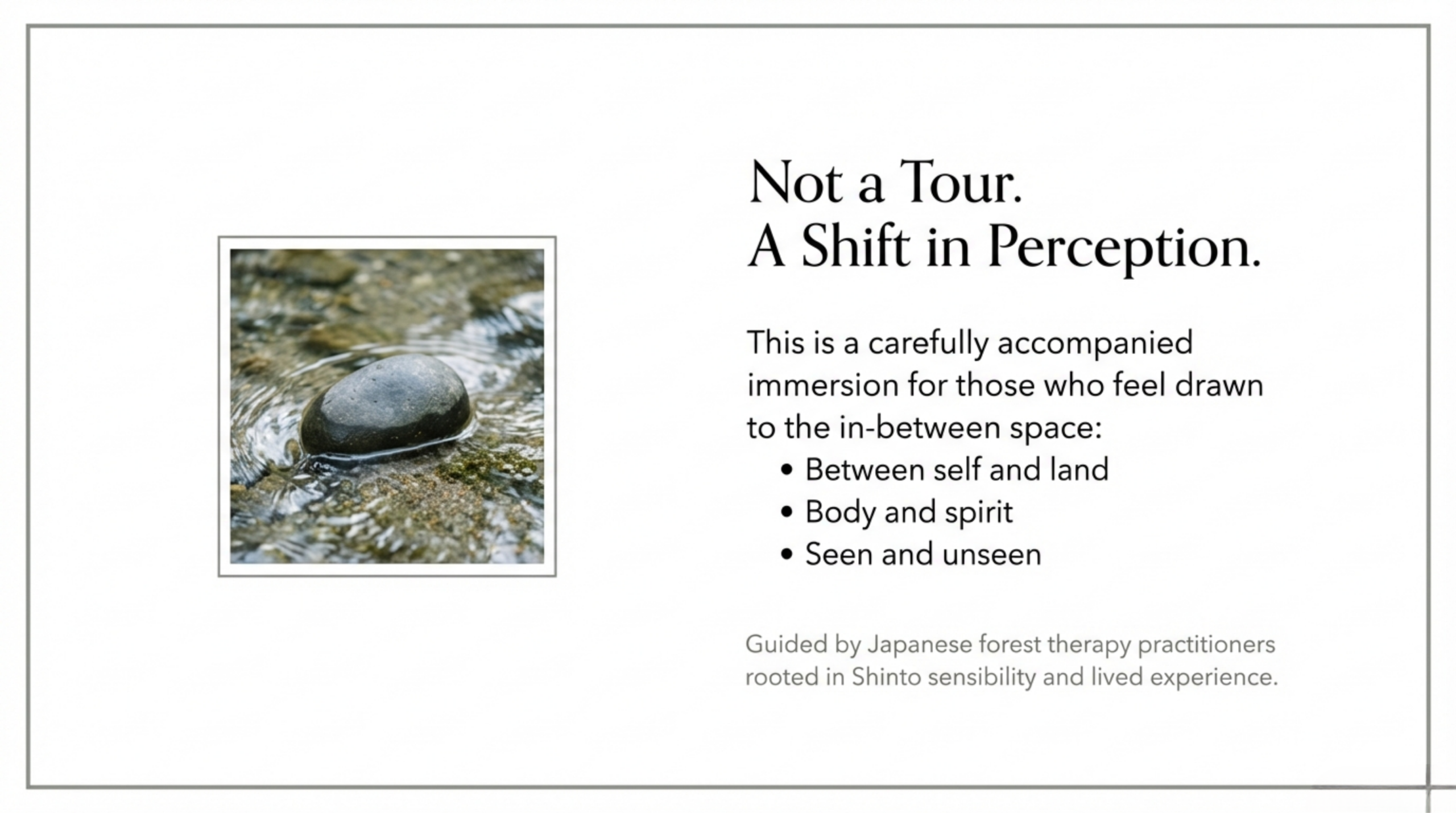 Stone resting in a clear forest stream in Yakushima, expressing a contemplative forest retreat and shift in perception