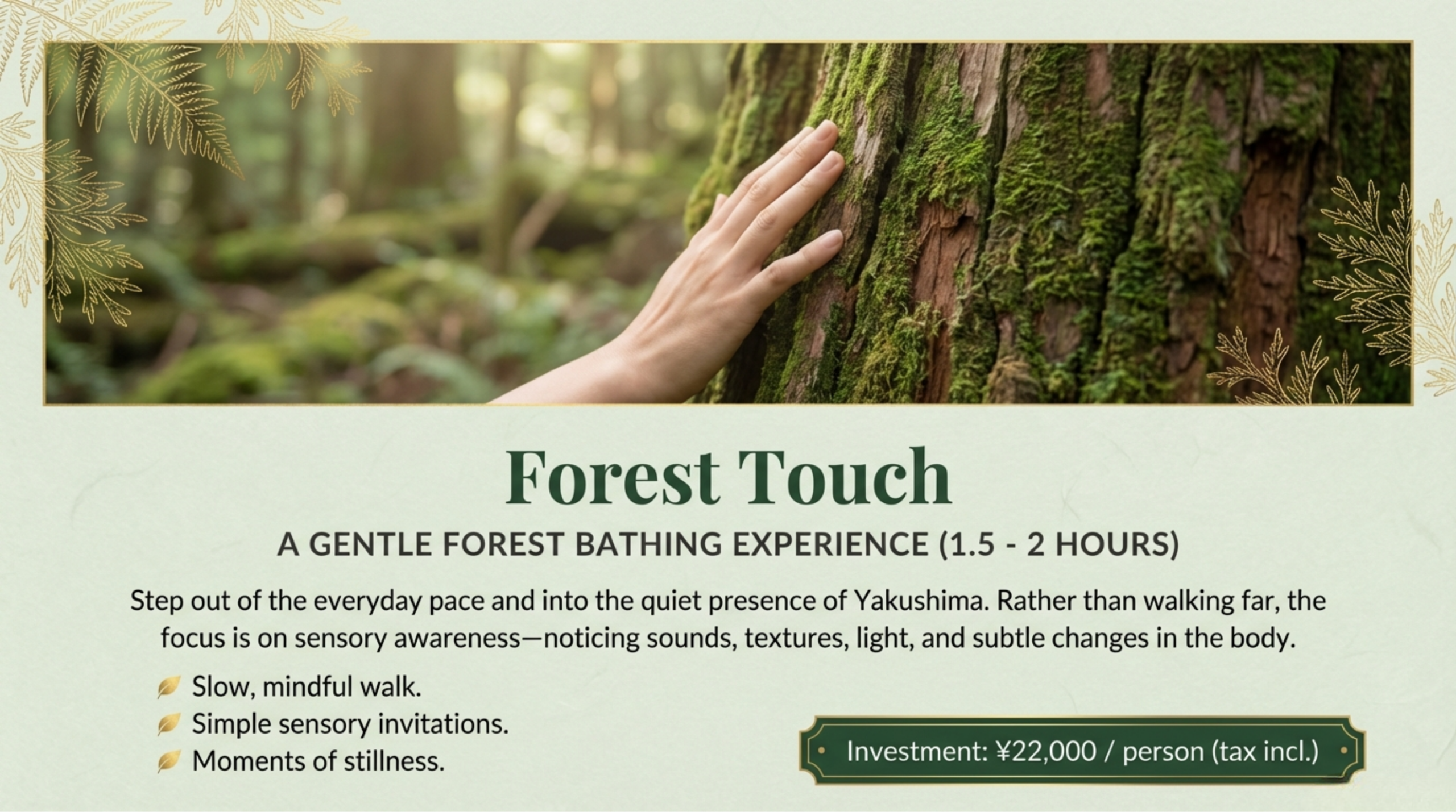 Details for Forest Touch course: A 1.5-2 hour gentle forest bathing experience focusing on sensory awareness. Investment: 22,000 yen per person.