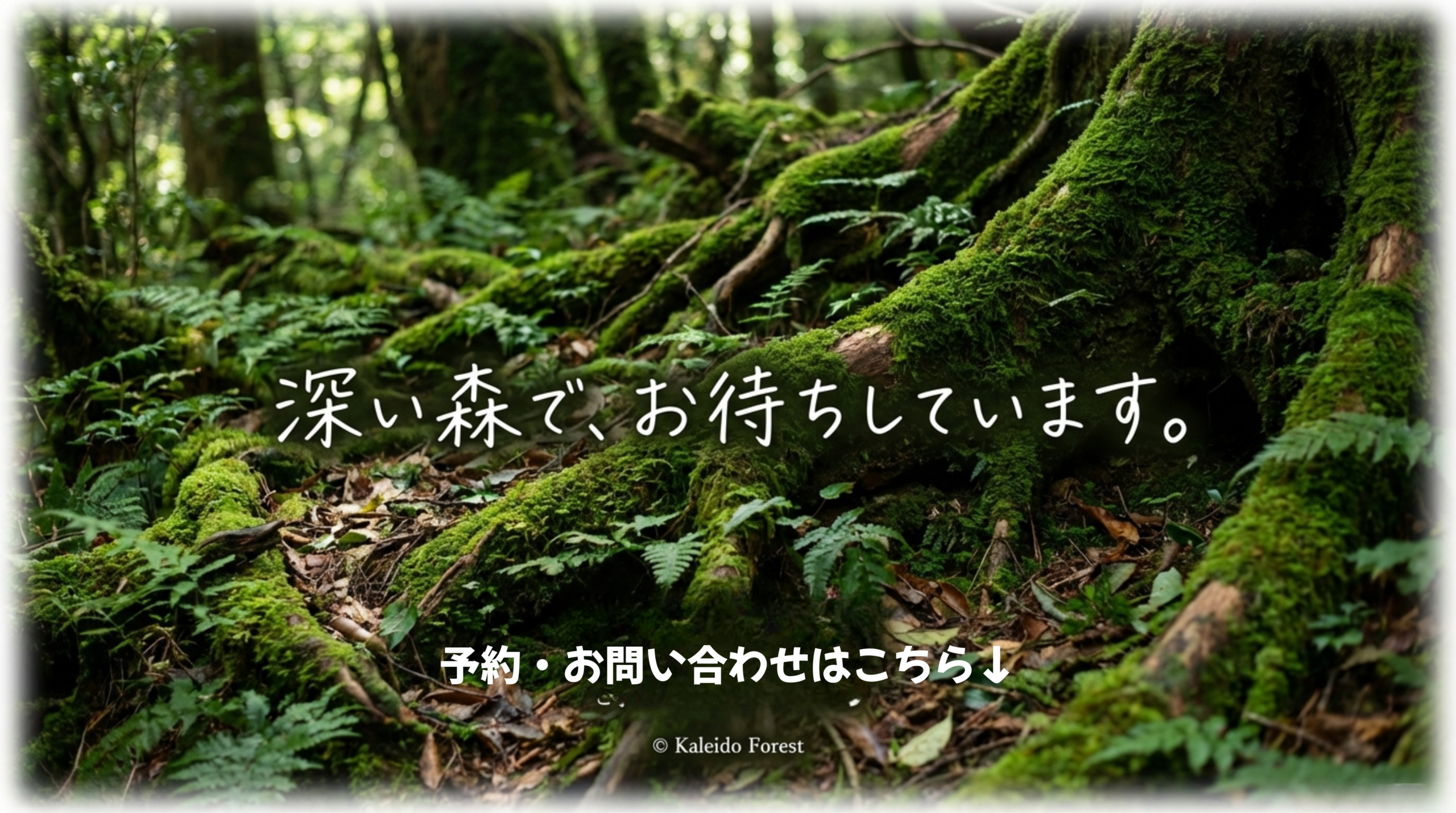 苔むした屋久島の森の風景に「深い森で、お待ちしています。」のメッセージ。Yakushima Kaleido ForestのWebサイトやSNS情報、予約・問い合わせへの案内。