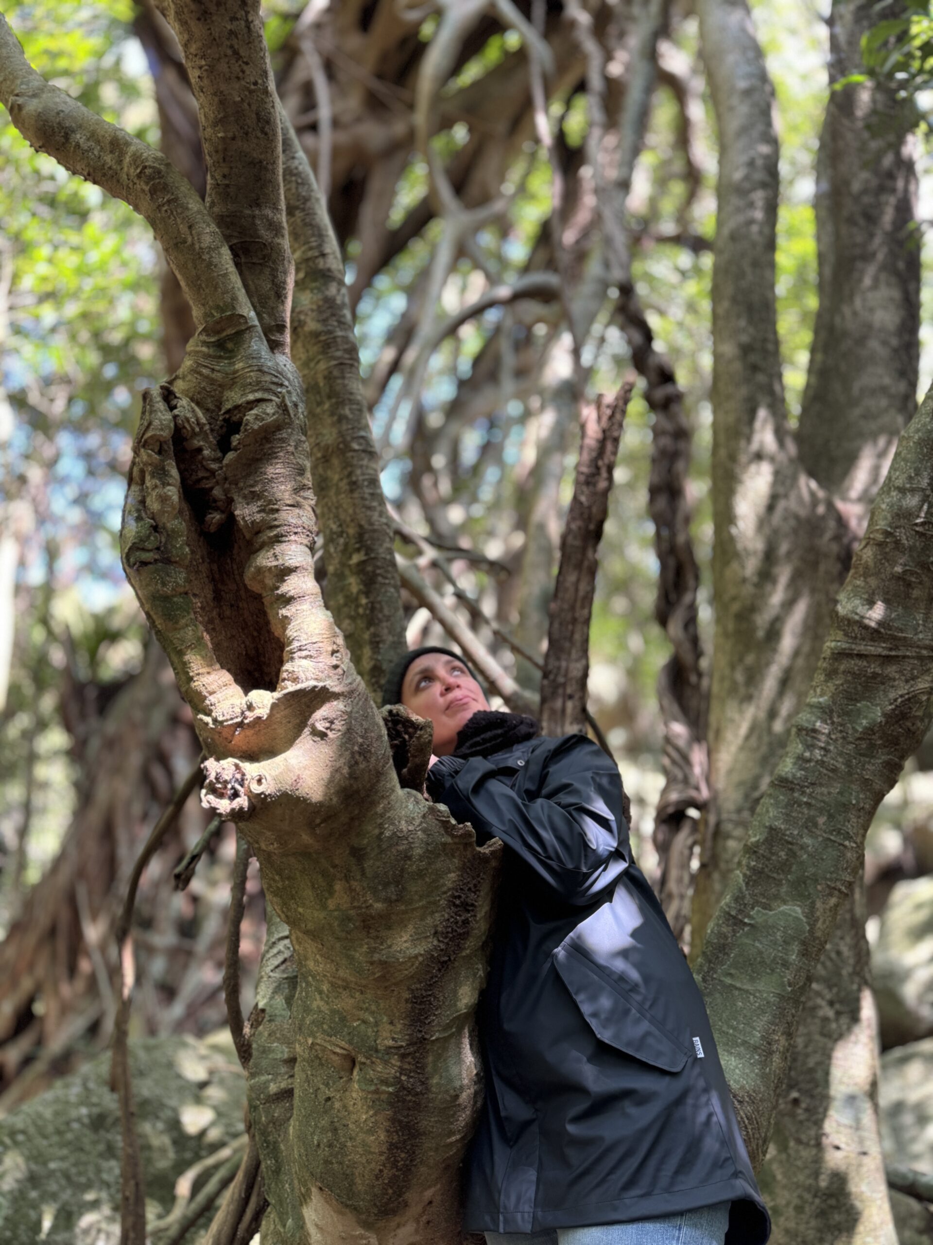 Half-Day Private deep Shinrin-yoku Experience (2026 Feb)