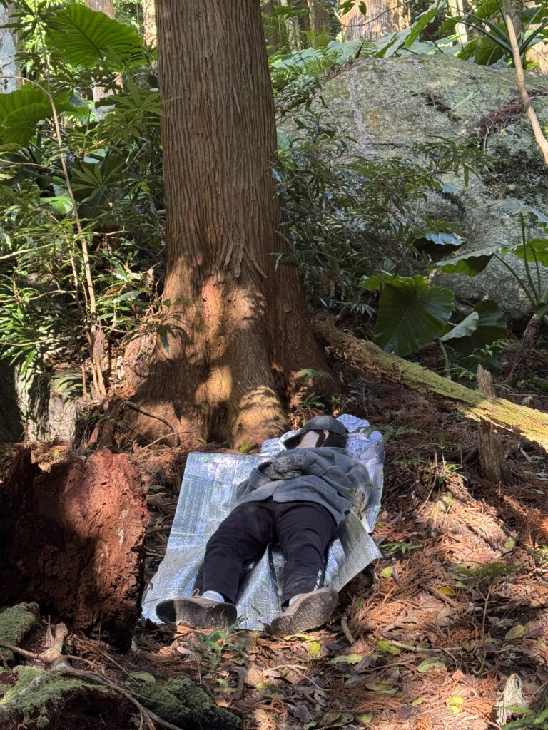 屋久島の森に差し込む光の中で眠る参加者の一人