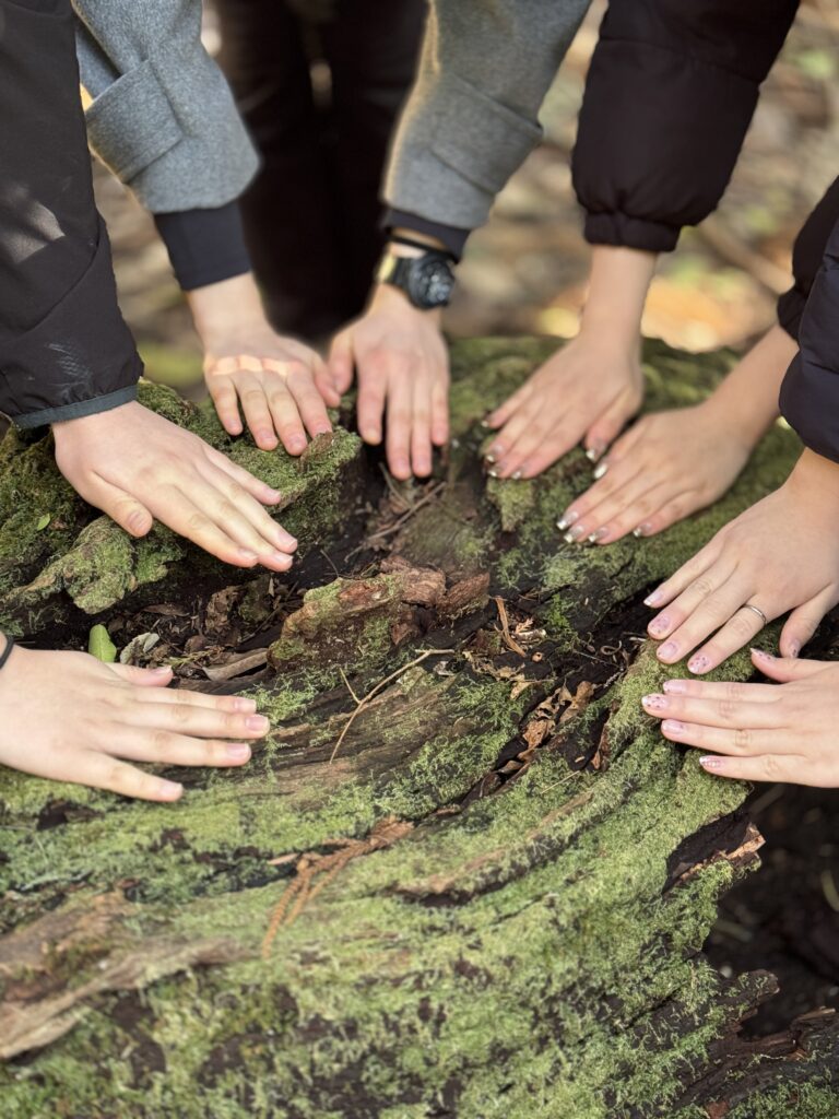 屋久島でdeep森林浴を体験する看護大学生4人