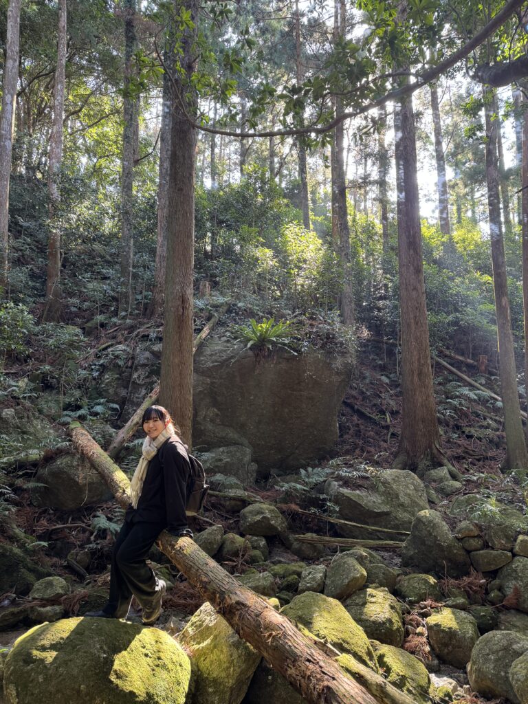 屋久島でdeep森林浴を体験する看護大学生