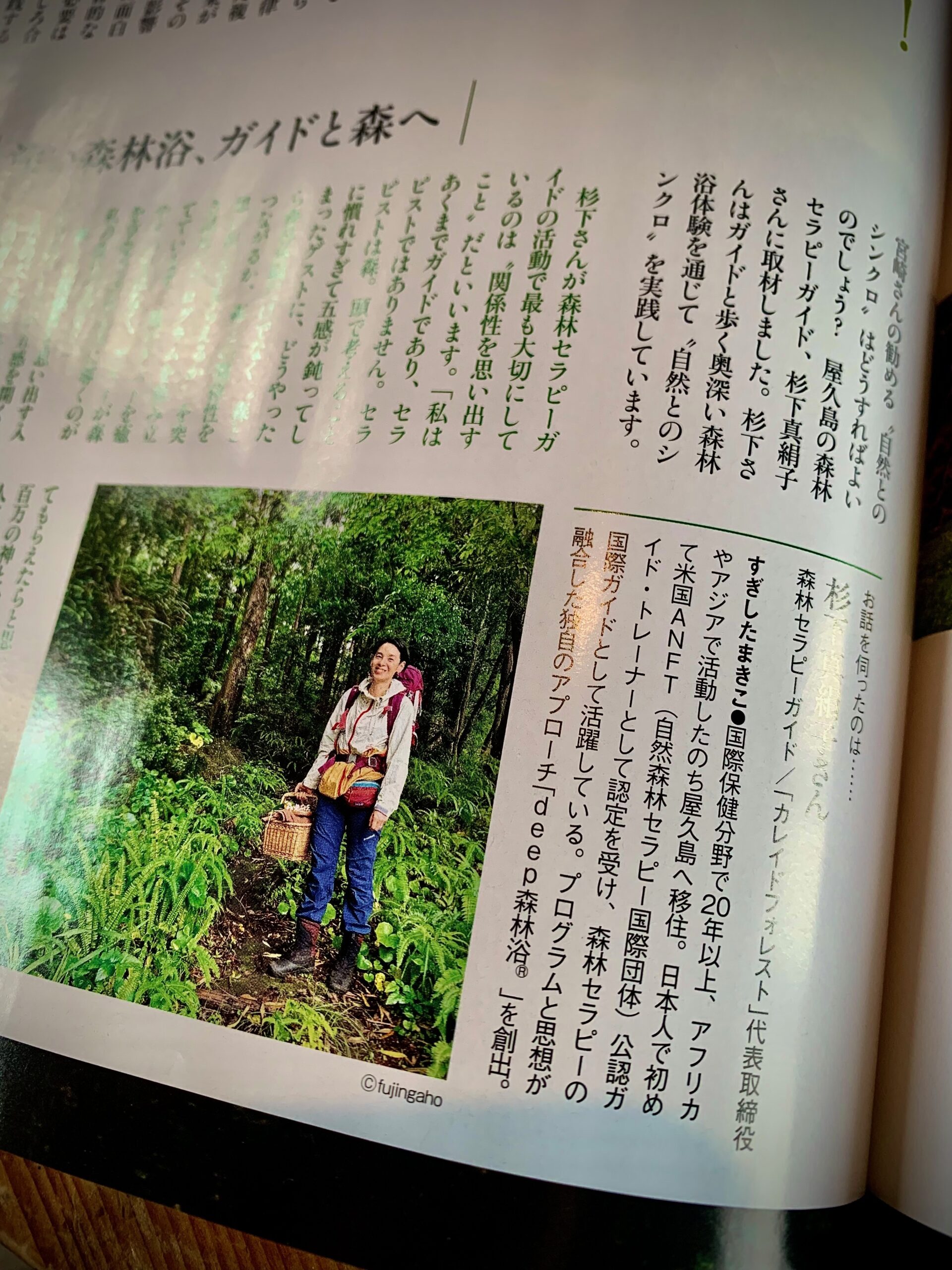 『婦人画報』2026年6月号「森林浴のすすめ」特集に掲載いただきました——屋久島の森で実践する「自然とのシンクロ」
